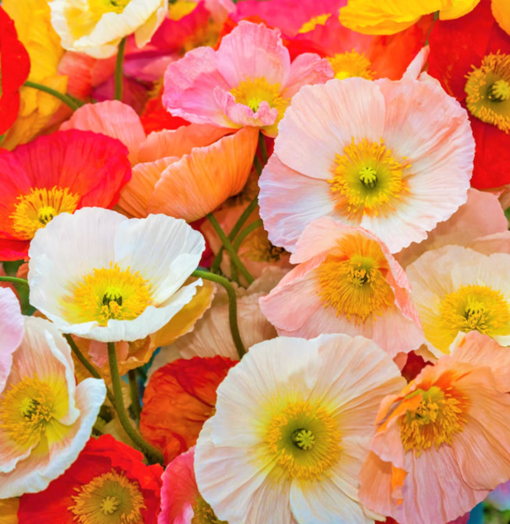 10 things we love this month